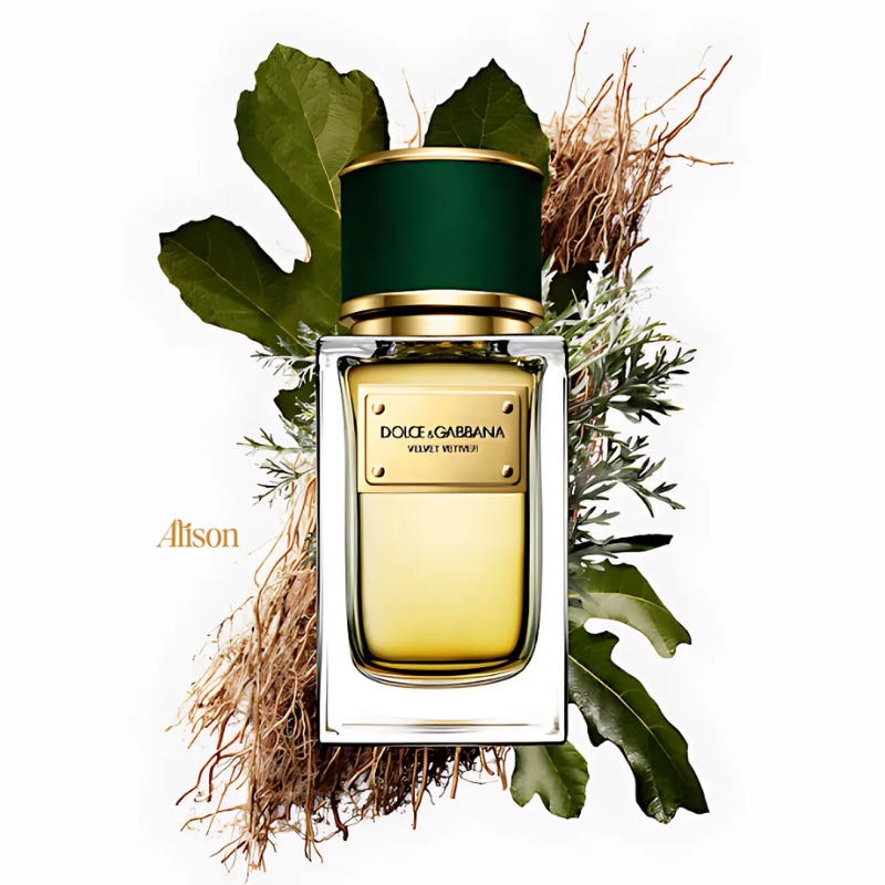 D&G Velvet Vetiver EDP 